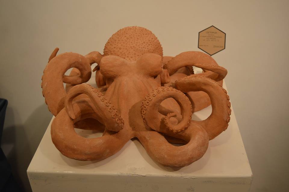 Terra-cotta
